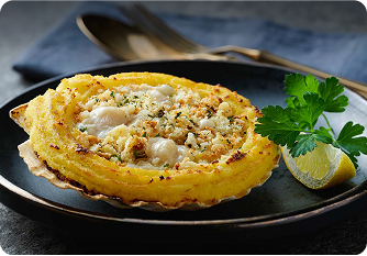 Coquille